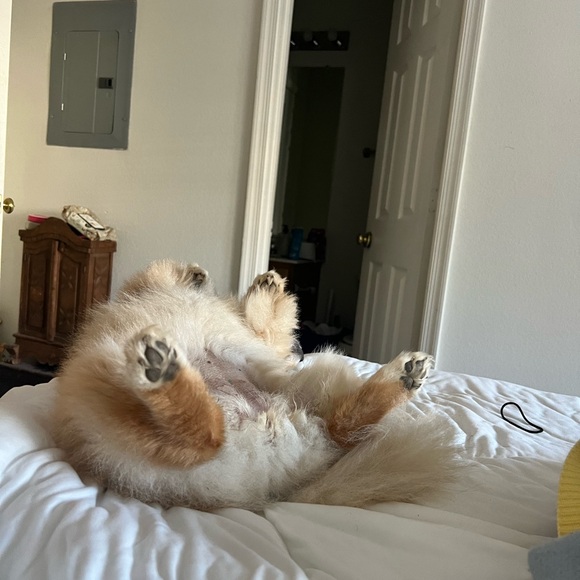 Clóset clean out: make me an offer!! - Picture 2 of 3